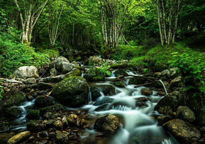 Ariège